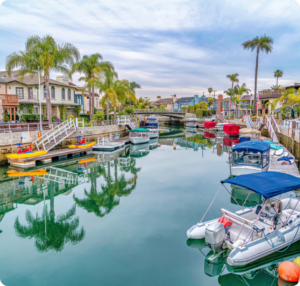 a picture of a canal full of boats and palm trees